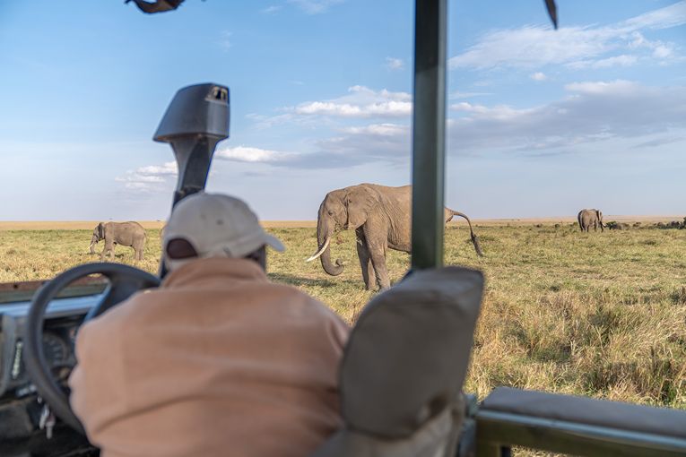 Governors' Camp Collection Safari