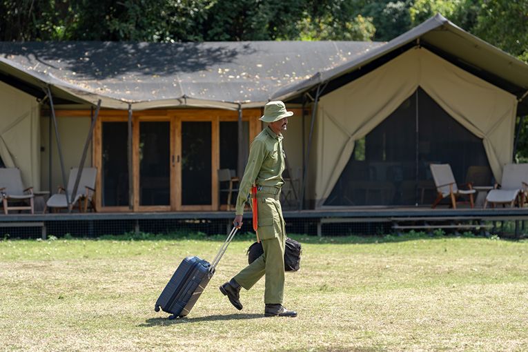 Governors' Camp Collection Safari