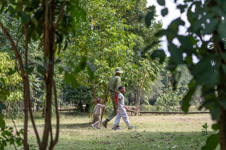 Governors' Camp Family Safari