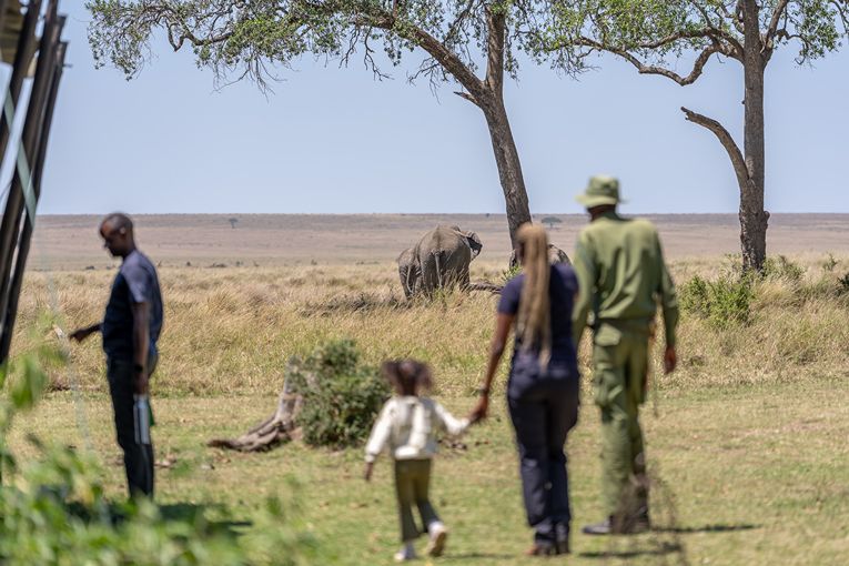 Governors' Camp Collection Safari