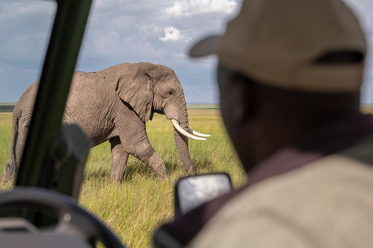 Governors' Camp Collection Safari