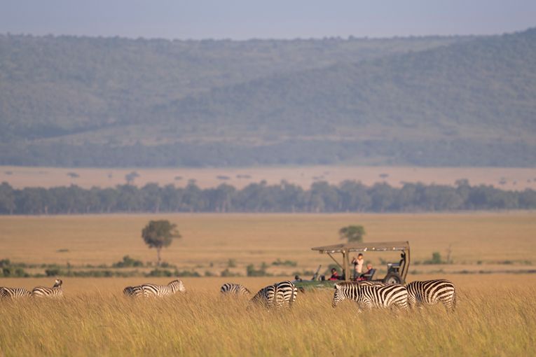 Governors' Camp Collection Safari