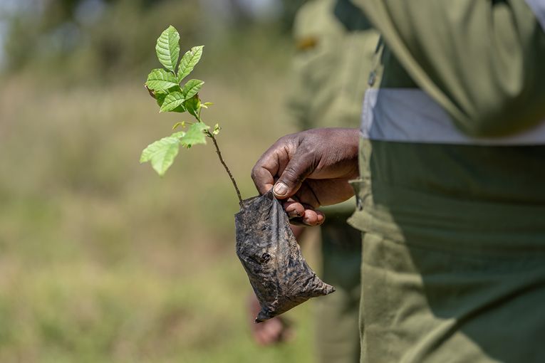 Community & Conservation
