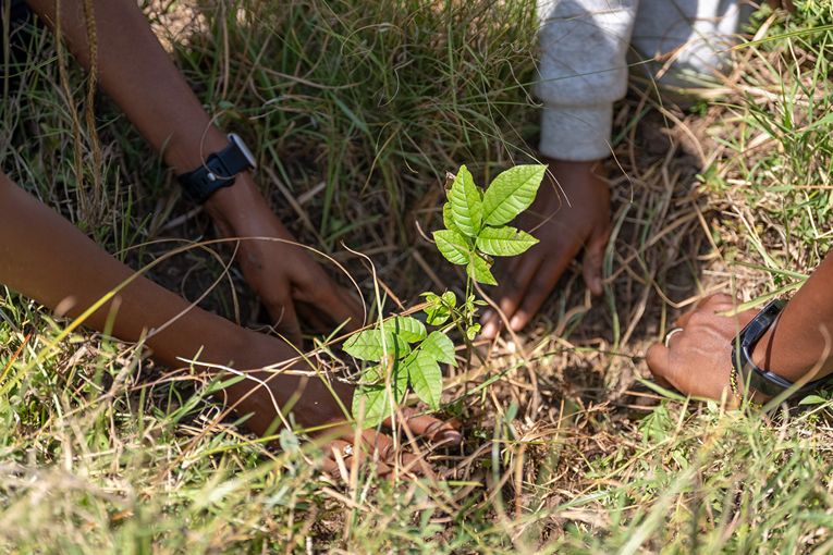 Community & Conservation