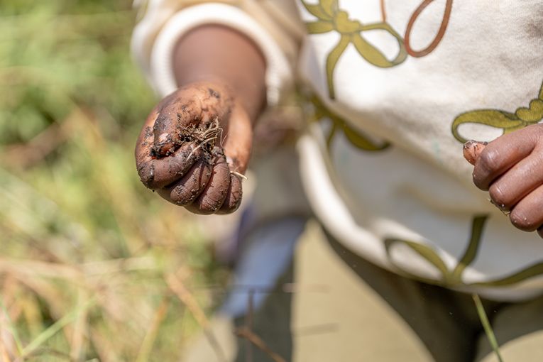 Community & Conservation