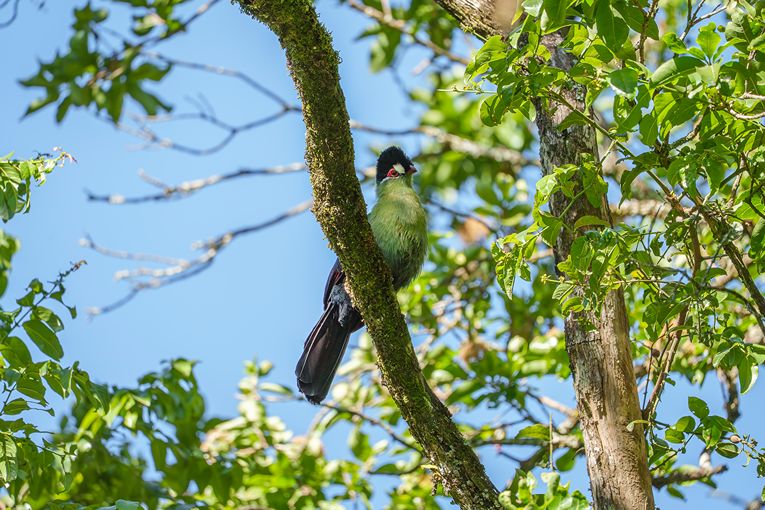 Community & Conservation
