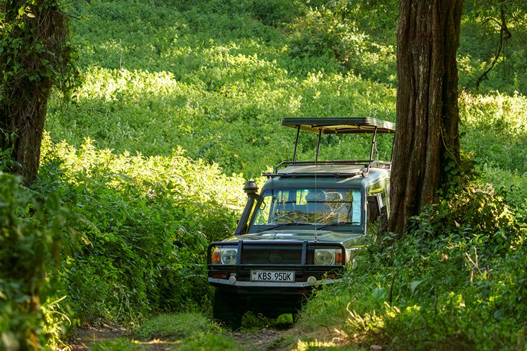 Community & Conservation