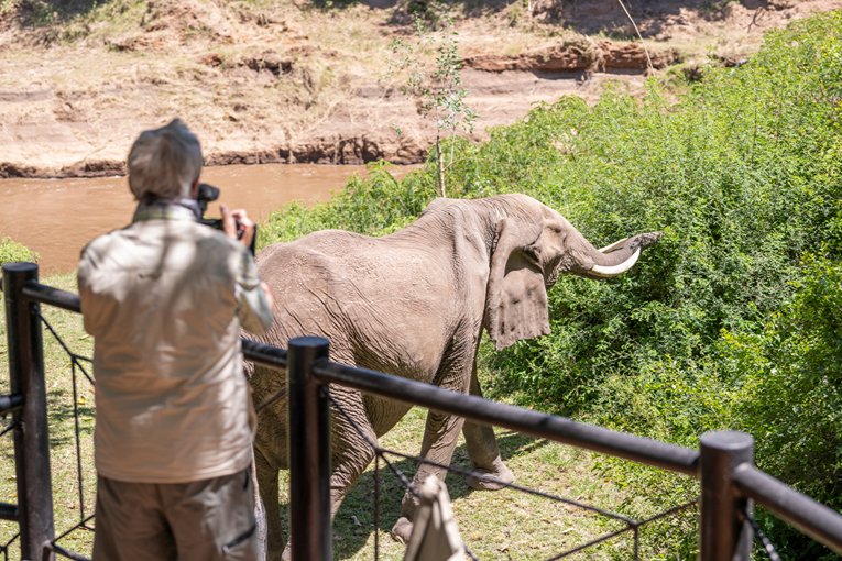 Masai Mara Safari with Governors' Camp Collection