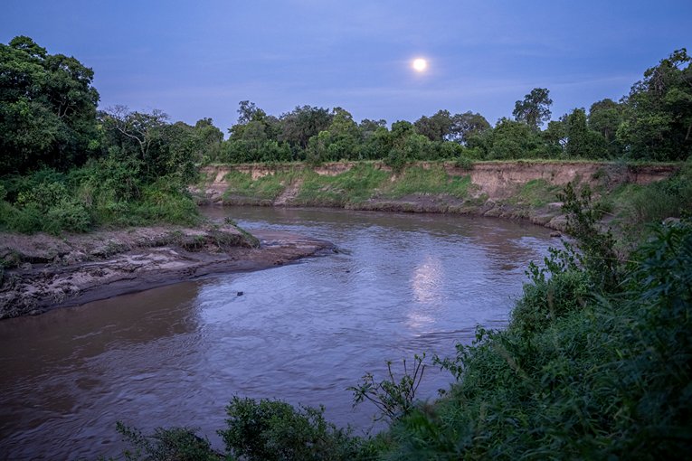 Masai Mara Safari with Governors' Camp Collection
