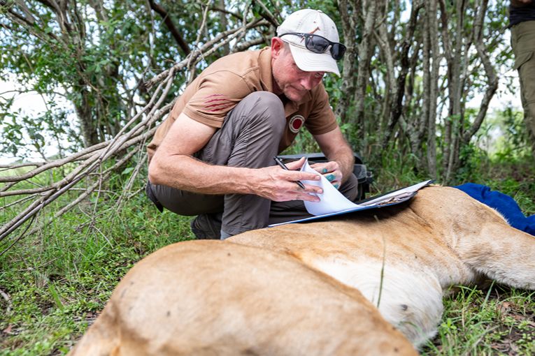 Mara Predator Conservation