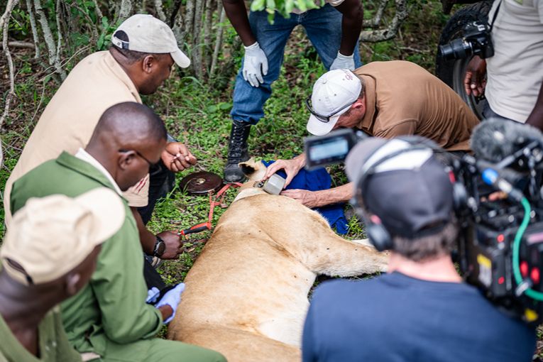 Mara Predator Conservation