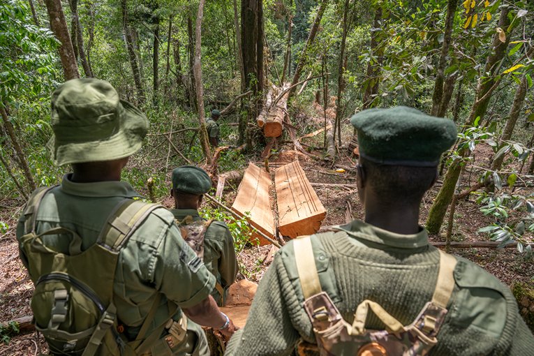 Protect Loita Forest
