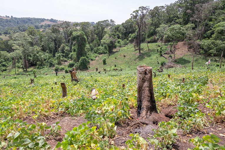 Community & Conservation