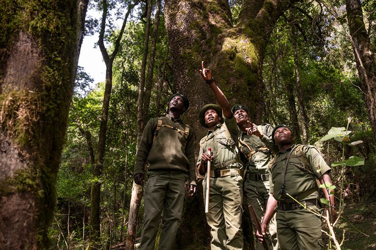 Community & Conservation