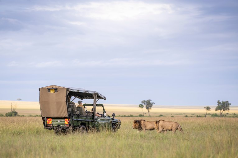 Masai Mara Safari with Governors' Camp Collection