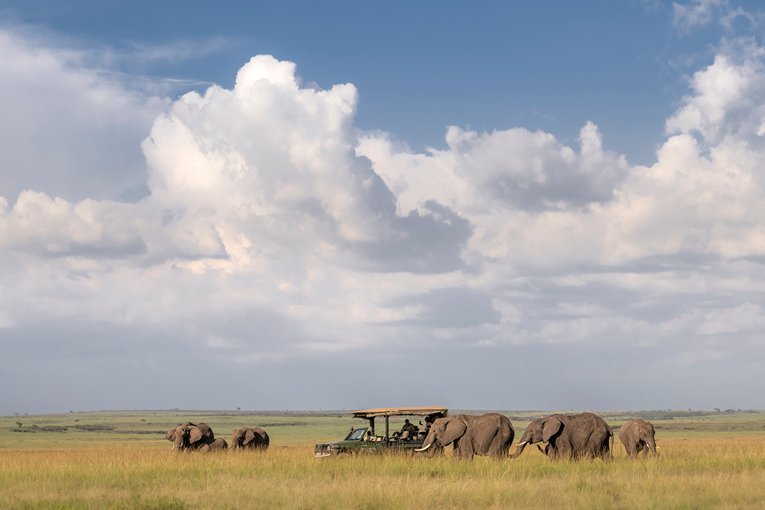 Masai Mara Safari with Governors' Camp Collection